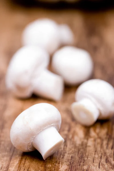 Taze champignon — Stok fotoğraf