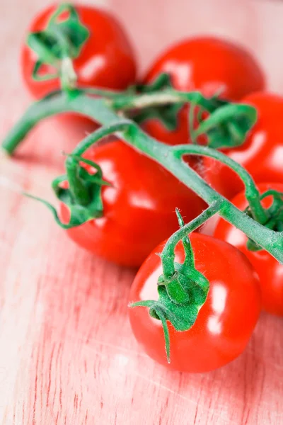 Bando de tomates — Fotografia de Stock