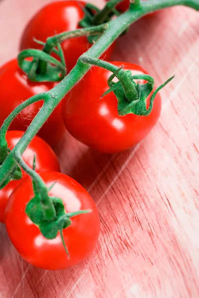 Tomater gäng — Stockfoto