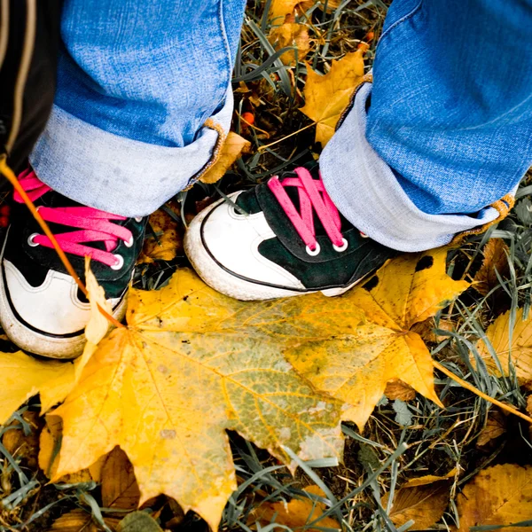 Zapatos de senderismo sobre hojas amarillas — Foto de Stock
