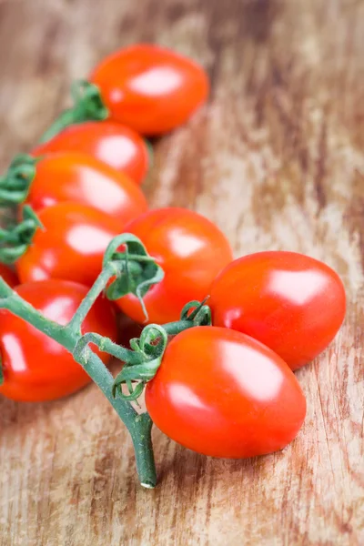 Tomater gäng — Stockfoto