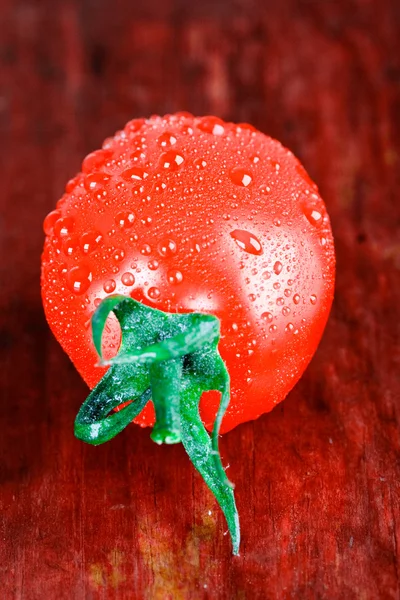 Våt tomat — Stockfoto