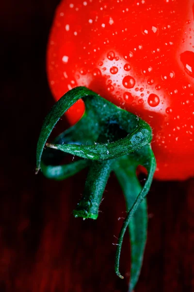 Islak domates — Stok fotoğraf