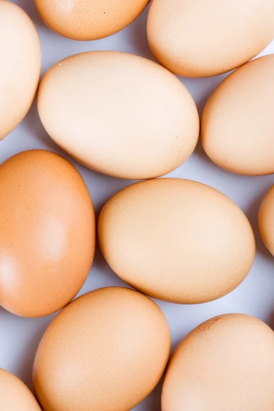Kahverengi yumurta — Stok fotoğraf