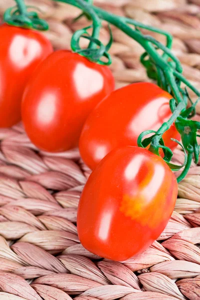 西红柿一堆 — 图库照片
