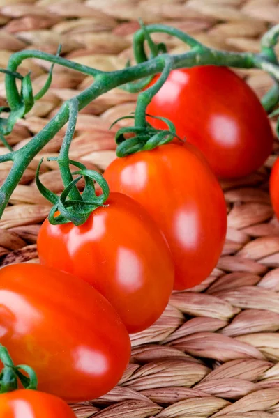 新鮮なトマトの束 — ストック写真