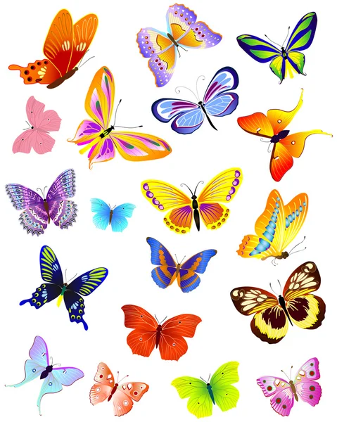 Set of butterfly — Stock Vector © Onzadoor #2820819