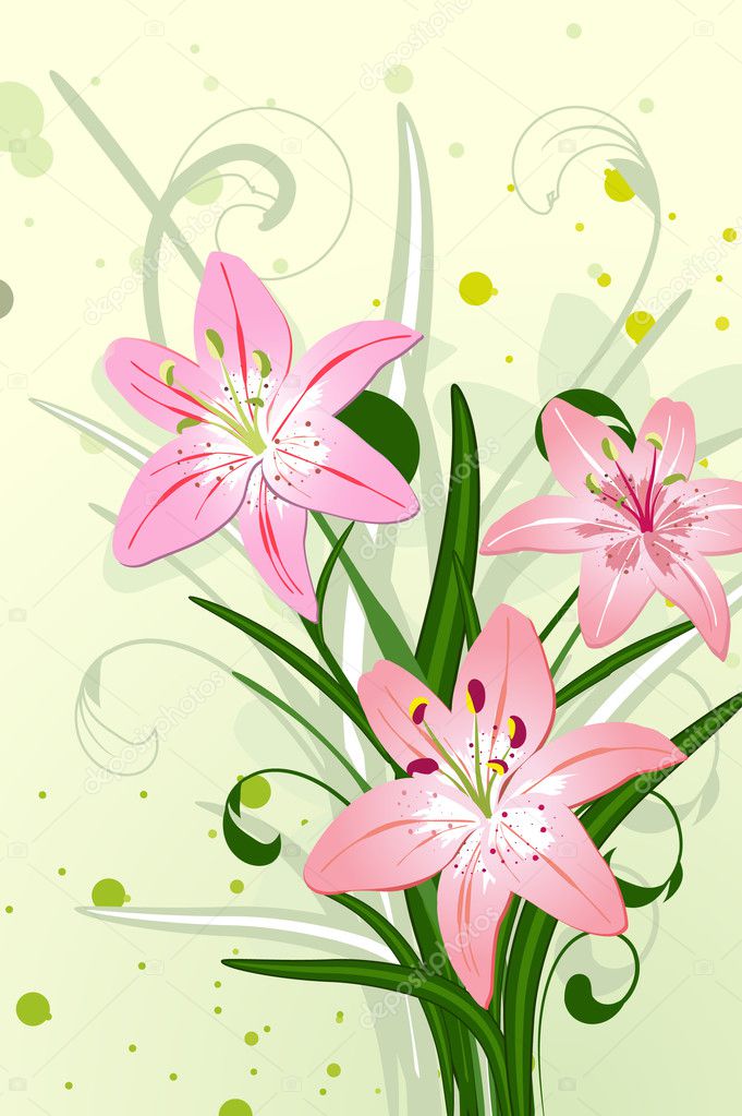 Lily flowers — Stock Vector © Oksana #2831040