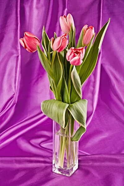 Strauß heller Tulpen — Stockfoto