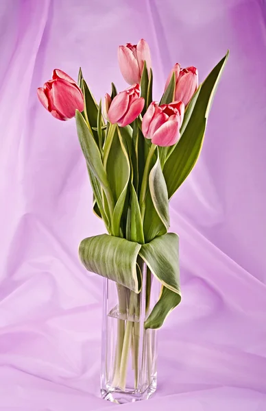 Strauß heller Tulpen — Stockfoto
