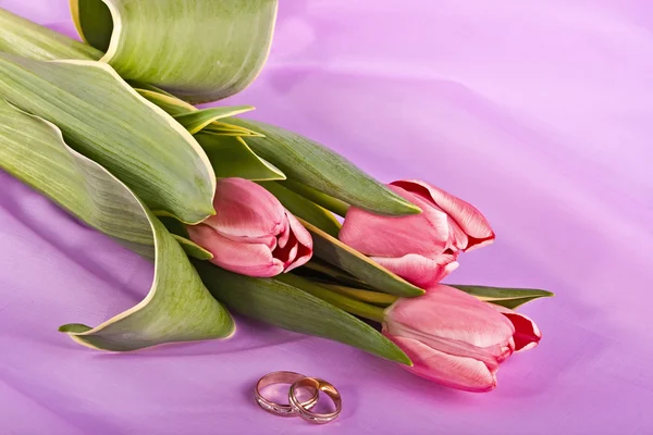 Two rings and tulips — Stock Photo, Image
