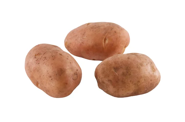 Potato isolated on white. — Stock Photo, Image