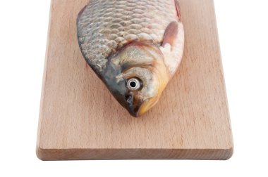 Fish on board isolated.