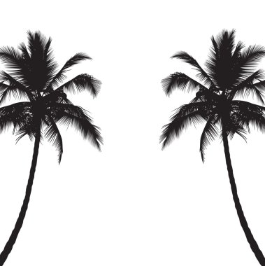 Two black silhouettes of palm trees clipart