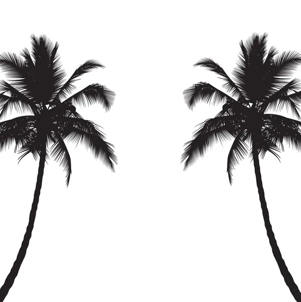 Dwa czarne sylwetki drzewa palmowe — Wektor stockowy