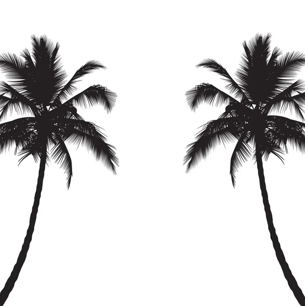 Two black silhouettes of palm trees — Stock Vector