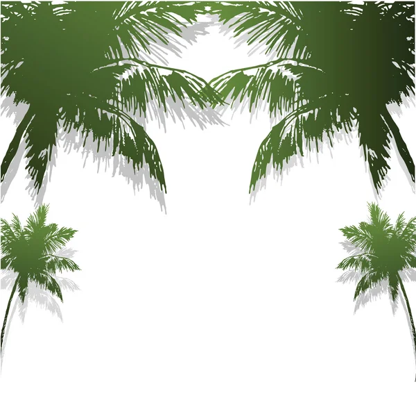 Four green silhouettes of palm trees — Stock Vector