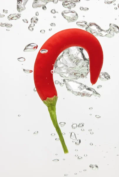 Chilli pepper in water with air bubbles — Stock Photo, Image