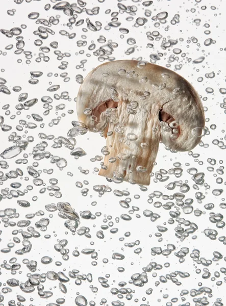 Польовий гриб у воді з бульбашками повітря — стокове фото