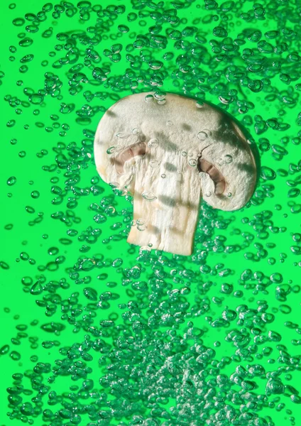 Польовий гриб падає у воду — стокове фото