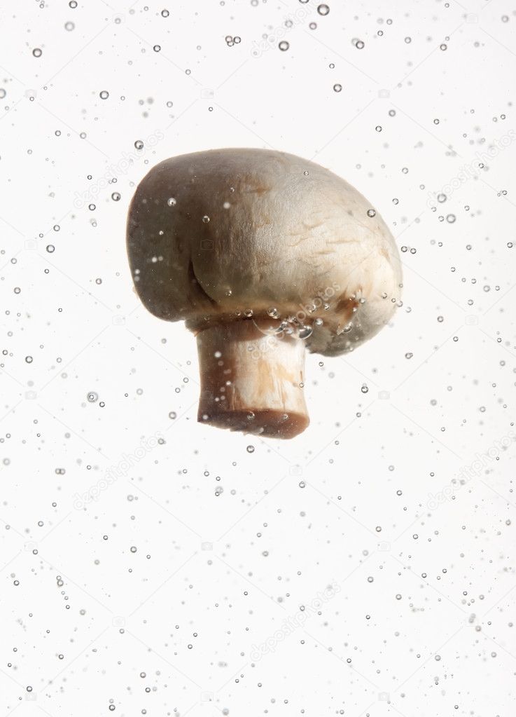 Field mushroom in water with air bubbles