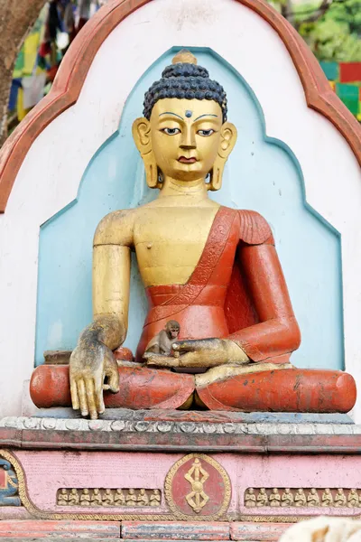 Baby apa i buddha händer — Stockfoto