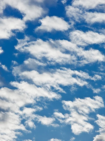 Kędzierzawy chmury na tle błękitnego nieba — Zdjęcie stockowe