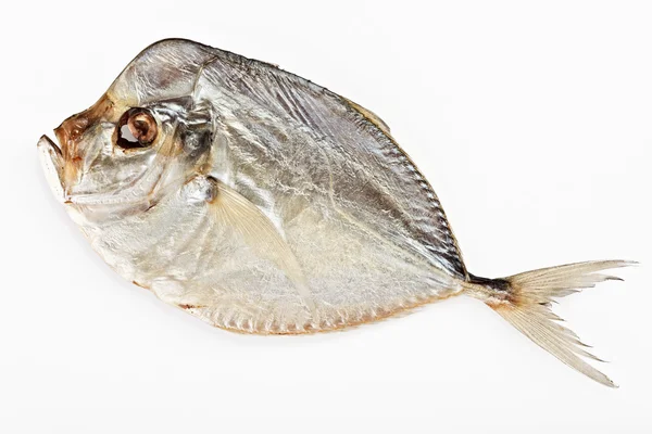 Gesalzene Mondfische isoliert auf weißem Hintergrund — Stockfoto