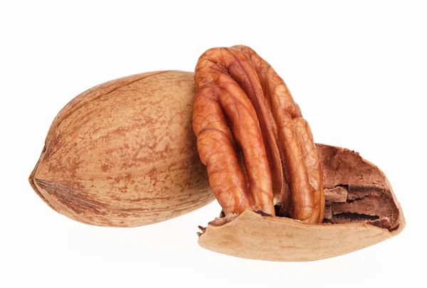 Några pecannötter isolerad på vit, en knäckt — Stockfoto