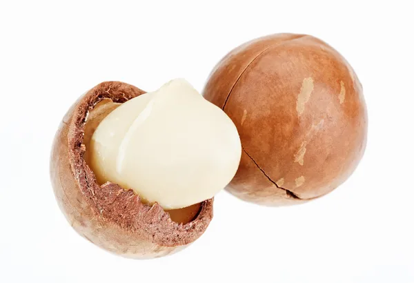 Nueces de macadamia sin cáscara y sin cáscara aisladas en blanco —  Fotos de Stock