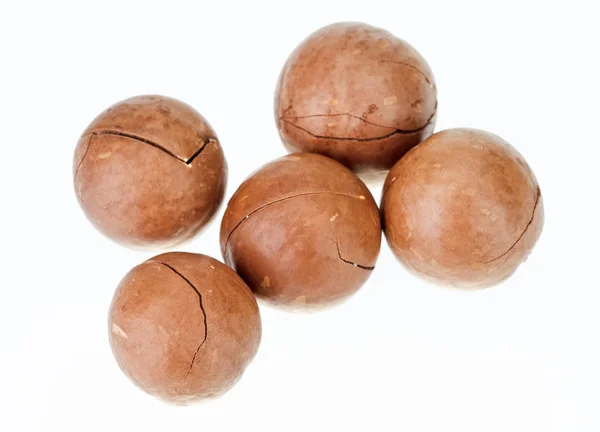 Kacang macadamia tak bercangkang diisolasi pada warna putih — Stok Foto