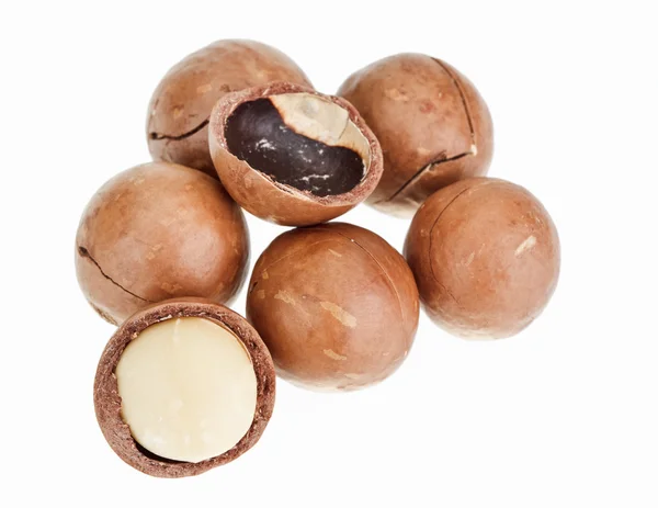 Shelled and unshelled macadamia nuts isolated on white — Stock Photo, Image