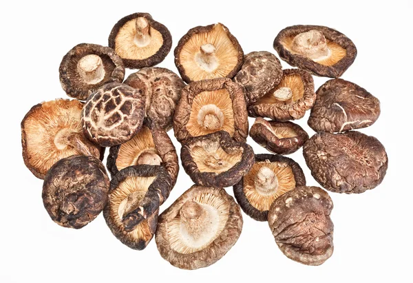 Сухие полевые грибы, изолированные на белом — стоковое фото