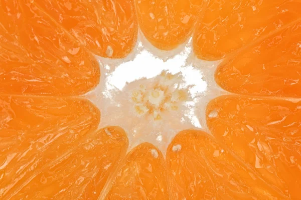 Fond orange frais — Photo