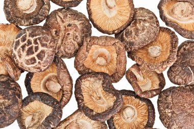 Dried field mushrooms isolated on white clipart