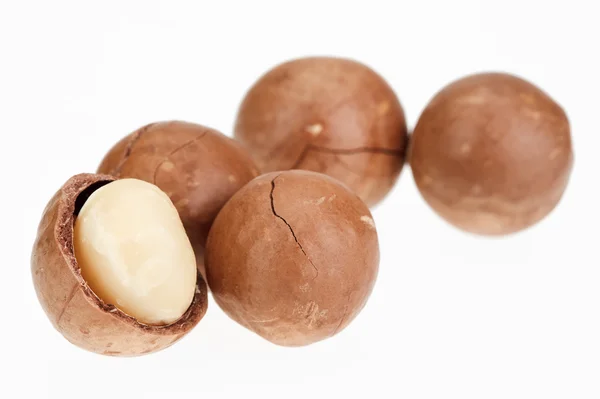 Nueces de macadamia sin cáscara y sin cáscara aisladas en blanco —  Fotos de Stock