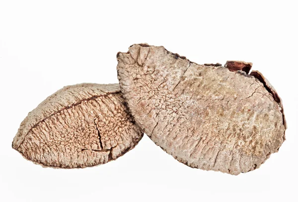 Немногие целые обстреляны бразильские орехи изолированы на белом — стоковое фото