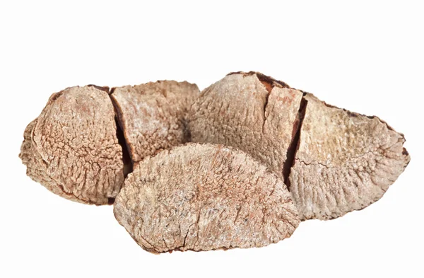 Few whole shelled Brazil nuts isolated on white — Stock Photo, Image