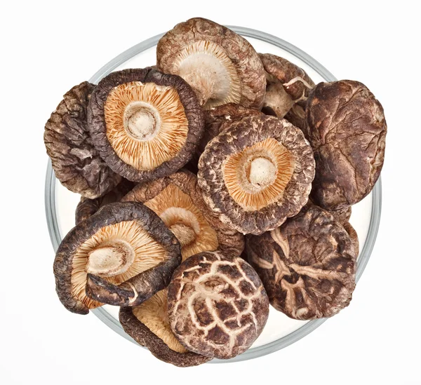Dried field mushrooms in a glass bowl isolated on white — Stock Photo, Image