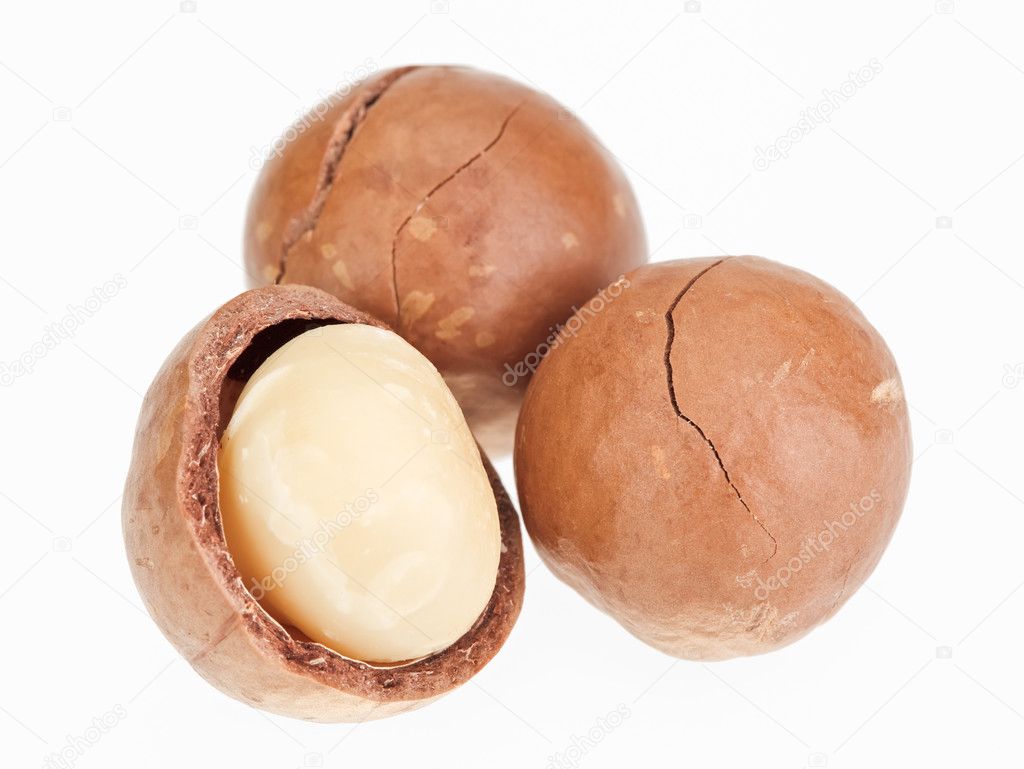Shelled and unshelled macadamia nuts isolated on white