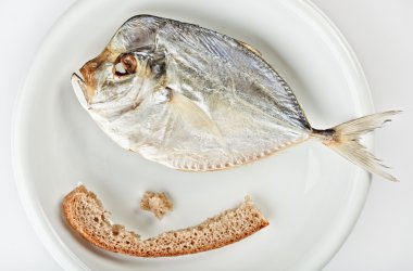 kabuk ekmek beyaz plaka ile tuzlu moonfish