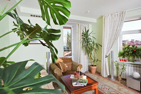 Parte da sala de estar clássica Interior com plantas e frutas bask — Fotografia de Stock