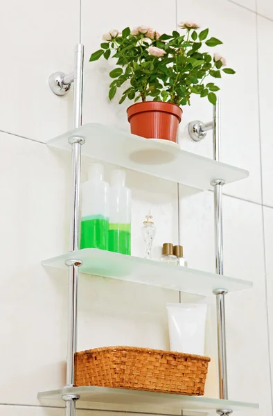 Bathroom shelf with plant in flowerpot and decor — Stock Photo, Image