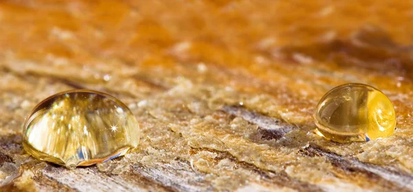Sunny drops of honey on an old wood — Stock Photo, Image