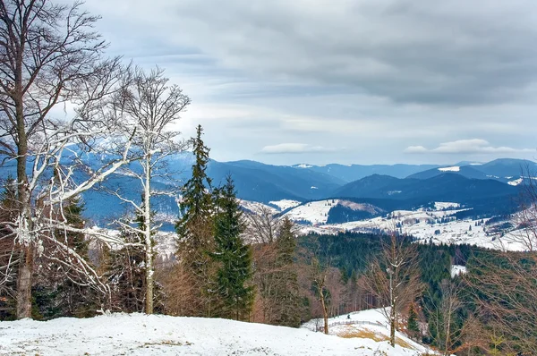 Winter Carpathian mountains landscape with overcast sky — Stock Photo, Image