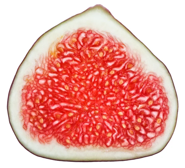 ส่วนตัดของผลไม้ต้นมะเดื่อแยกจากสีขาว — ภาพถ่ายสต็อก