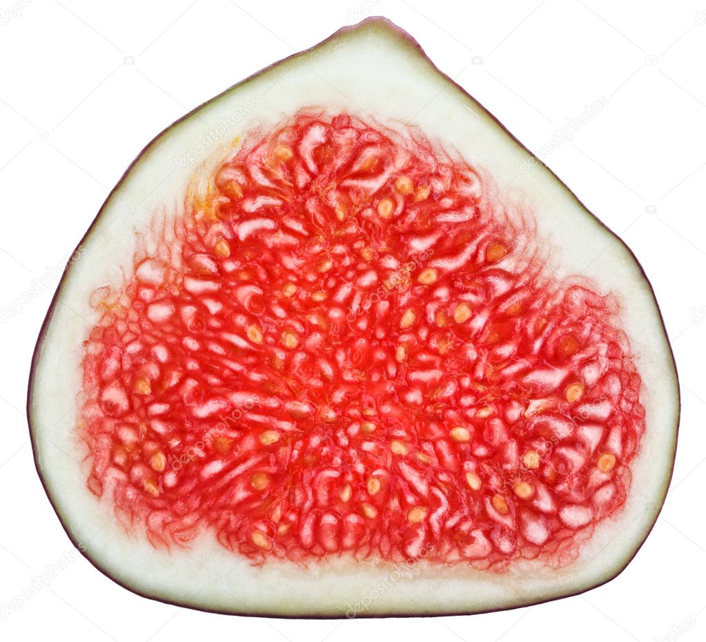 Cross-section of fig tree fruit isolated on white