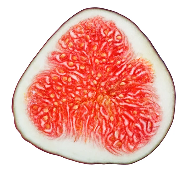 Поперечное сечение плодов инжира, выделенных на белом — стоковое фото