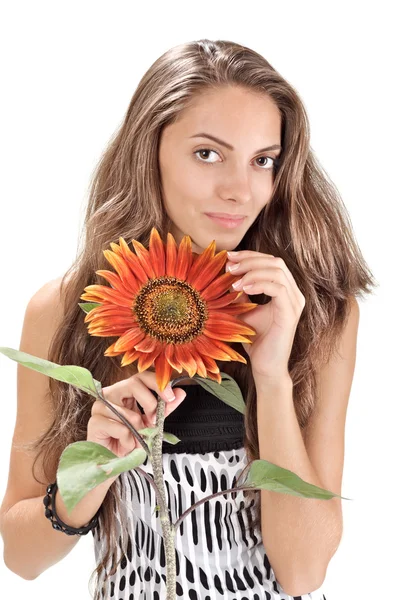 Young beautiful girl with long hairs holding sunflower on white — Stock Photo, Image