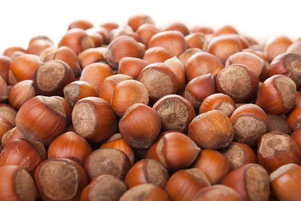 Hazelnut food — Stock Photo, Image